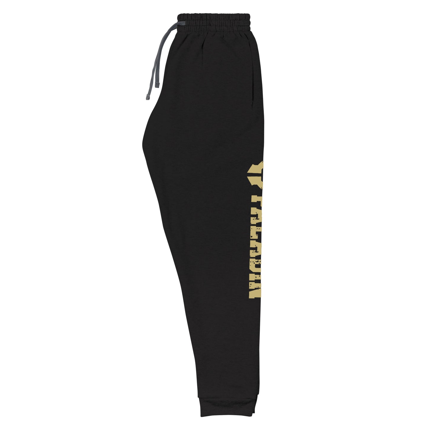 dnd paladin joggers crafted from a luxurious blend of 60% cotton and 40% polyester pre-shrunk fleece, featuring a soft and durable fabric weight of 7.2 oz/yd² (244 g/m²). Designed with a tapered fit, lower rise in the front, and longer rise in the back for optimal movement. Includes an elastic waistband with external drawcord for a customizable fit, 1×1 rib cuffs with spandex for stretch and recovery, and stylish side pockets. The joggers are adorned with a bold 'paladin' graphic on the left leg